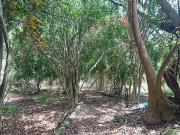 Venta espectacular terreno de 5.325m2, Vista, Ideal para constructores, Nayón