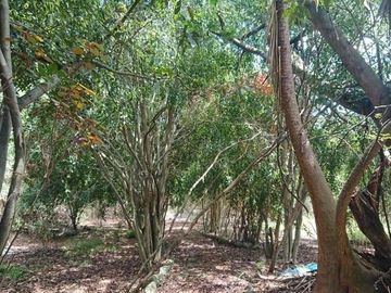 Venta espectacular terreno de 5.325m2, Vista, Ideal para constructores, Nayón