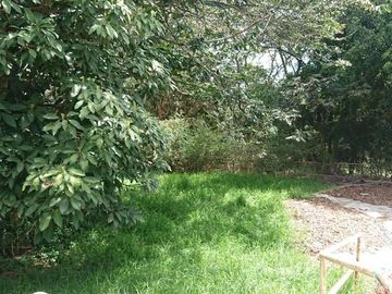 Venta espectacular terreno de 5.325m2, Vista, Ideal para constructores, Nayón