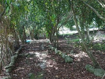 Venta espectacular terreno de 5.325m2, Vista, Ideal para constructores, Nayón