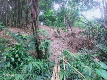 Tanah kemuning ngargoyoso 900m 150jt