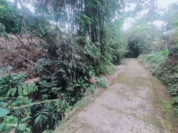 Tanah kemuning ngargoyoso 900m 150jt