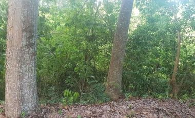 140 SQM Lot for sale in Greenville Subdivision at Casili Consolacion Cebu