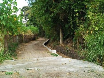 Tanah pekarangan luas di kawasan sejuk dekat kampus UII