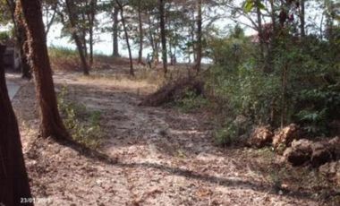 Beach Lot for Sale in San Fernando, La