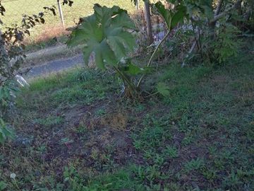 Parcela en Venta en Parcela Hijuela