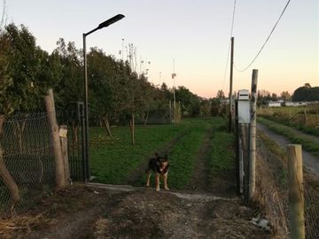 Parcela en Venta en Parcela Hijuela