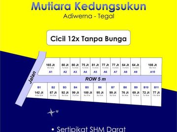 Dekat Klinik Hj. Aisyiyah Adiwerna-Tegal: 80 Jt-an SHM Darat