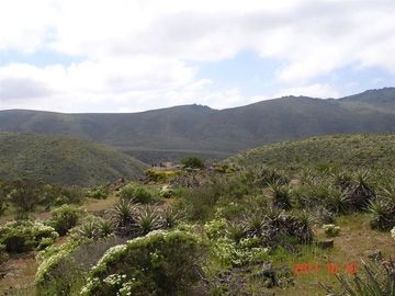 Parcela en venta en Ovalle, Mirador de Talinay I