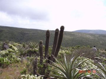 Parcela en venta en Ovalle, Mirador de Talinay I