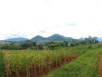 Tanah Sumedang Jatinangor View 2 Belakang Unpad SHM 1 Jt-an/m