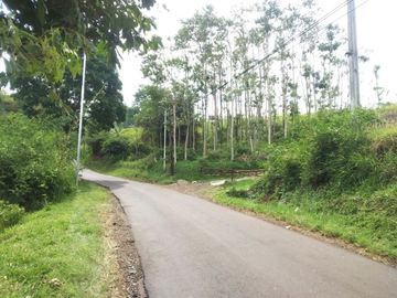 Tanah Sumedang Jatinangor View 2 Belakang Unpad SHM 1 Jt-an/m