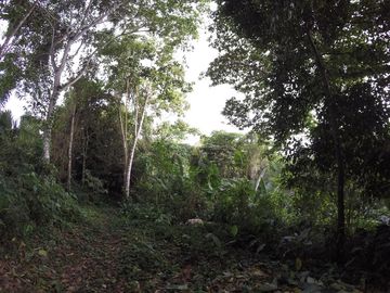 Se Vende Terreno para Desarrollar en Zona Rural, Cerca del Mar y Frente al Mar en Caimito