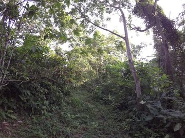 Se Vende Terreno para Desarrollar en Zona Rural, Cerca del Mar y Frente al Mar en Caimito