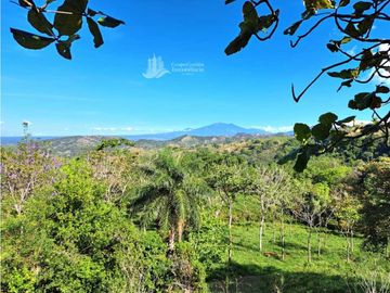 VENDO FINCA DE 12 HECTAREAS REFORESTADA