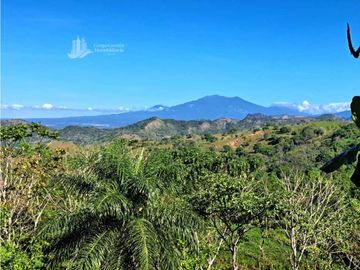 VENDO FINCA DE 12 HECTAREAS REFORESTADA