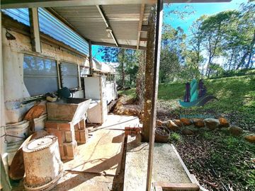 VENDO FINCA DE 12 HECTAREAS REFORESTADA