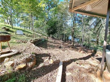 VENDO FINCA DE 12 HECTAREAS REFORESTADA