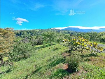 VENDO FINCA DE 12 HECTAREAS REFORESTADA