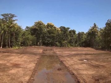 Jual Tanah Jogja Dekat Bandara YIA Kulon Progo