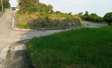 197 Sqm Residential Corner Lot for Sale in Vista Grande Talisay Cebu City