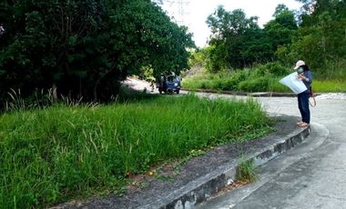 197 Sqm Residential Corner Lot for Sale in Vista Grande Talisay Cebu City
