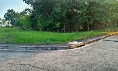197 Sqm Residential Corner Lot for Sale in Vista Grande Talisay Cebu City