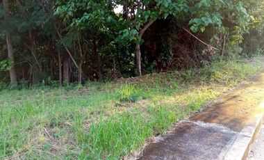197 Sqm Residential Corner Lot for Sale in Vista Grande Talisay Cebu City