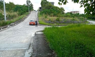 197 Sqm Residential Corner Lot for Sale in Vista Grande Talisay Cebu City
