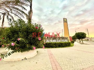 🌟 ¡Oportunidad Única en Lambayeque! 🌟

¿Estás buscando el lugar perfecto para construir tus sueños? Te presentamos este magnífico terreno urbano, un