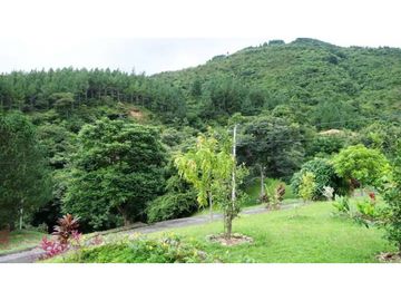 SE VENDE TERRENO EN ALTOS DEL MARIA 1664.77M2