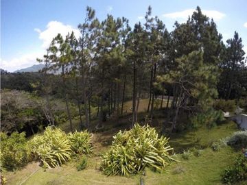 SE VENDE TERRENO EN ALTOS DEL MARIA 1664.77M2
