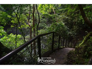 SE VENDE TERRENO EN ALTOS DEL MARIA 1664.77M2