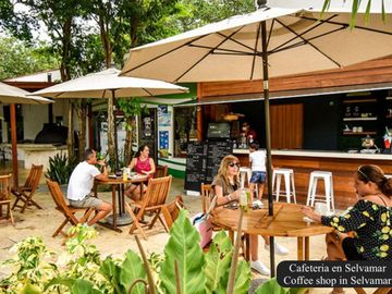 Lote de 494 m2, en residencial con cenote, en venta Selvamar, Playa del Carmen.