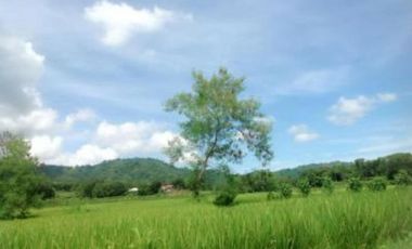 Agricultural Lot for Sale in Balaoan, La