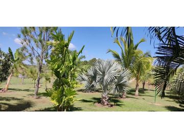 VENTA DE CASA EN AGUADULCE CON PISCINA 8,000 MT2