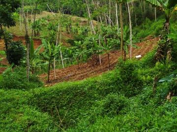 Dijual Tanah  Pinggir Jalan Di Daerah Nyalindung Sukabumi