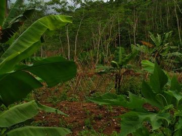 Dijual Tanah  Pinggir Jalan Di Daerah Nyalindung Sukabumi