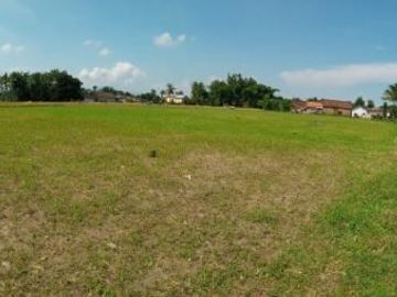tanah kavling kampus dreamland jember lokasi tengah kota jemver