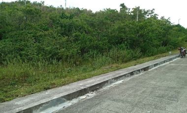 251 SQM SUBDIVISION LOT FOR SALE in VISTA VERDE CONSOLACION CEBU