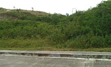 251 SQM SUBDIVISION LOT FOR SALE in VISTA VERDE CONSOLACION CEBU