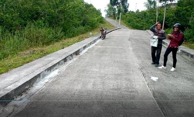 251 SQM SUBDIVISION LOT FOR SALE in VISTA VERDE CONSOLACION CEBU