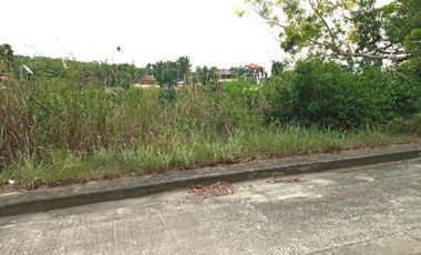 251 SQM SUBDIVISION LOT FOR SALE in VISTA VERDE CONSOLACION CEBU