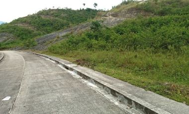 251 SQM SUBDIVISION LOT FOR SALE in VISTA VERDE CONSOLACION CEBU