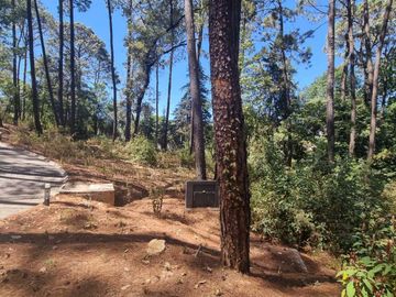 EXCELENTE TERRENO EN VENTA, AVANDARO