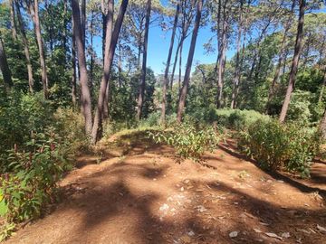 EXCELENTE TERRENO EN VENTA, AVANDARO