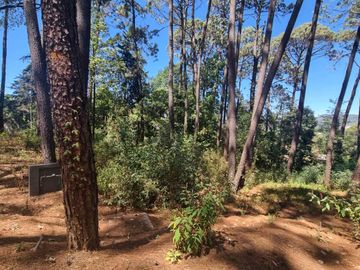 EXCELENTE TERRENO EN VENTA, AVANDARO