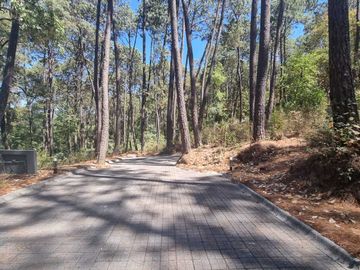 EXCELENTE TERRENO EN VENTA, AVANDARO