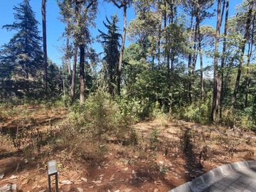 EXCELENTE TERRENO EN VENTA, AVANDARO