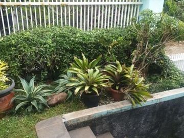 Rumah 1 lantai, shm, asri, nyaman dan tenang di megapolitan cinere estate
